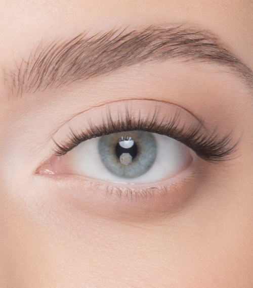 Nanolash Eyelash Extensions Divine